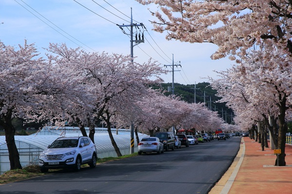 Att.-Resize0004.jpg